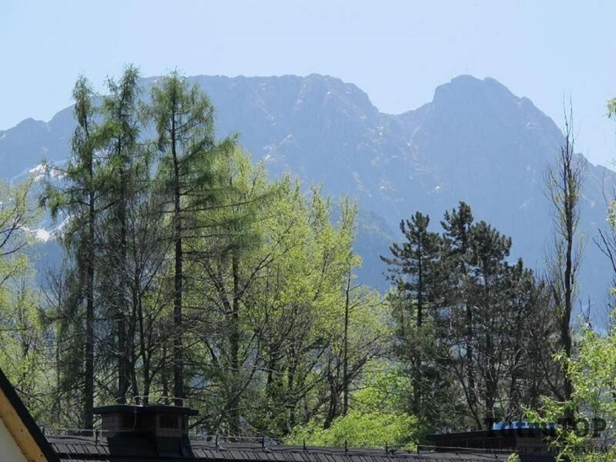 Tatrytop Apartamenty Kaszelewski ザコパネ エクステリア 写真
